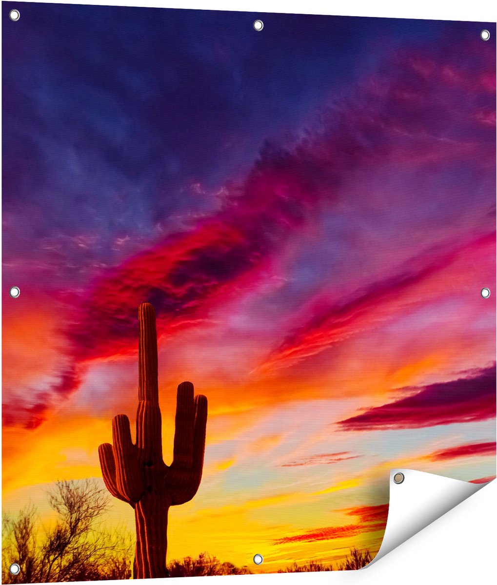 Gards Tuinposter Cactus bij Oranje Zonsondergang - 90x90 cm - Tuindoek - Tuindecoratie - Wanddecoratie buiten - Tuinschilderij Multikleur