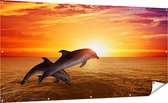 Affiche Jardin Gards Deux Dauphins au Coucher de Soleil - 200x100 cm - Toile Jardin - Décoration de jardin - Décoration murale Extérieure - Tableau Jardin