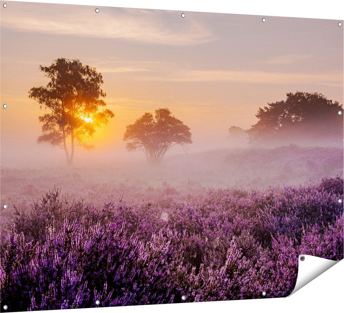 Gards Tuinposter Weide in de Veluwe bij Zonsondergang - 160x120 cm - Tuindoek - Tuindecoratie - Wanddecoratie buiten - Tuinschilderij Multikleur