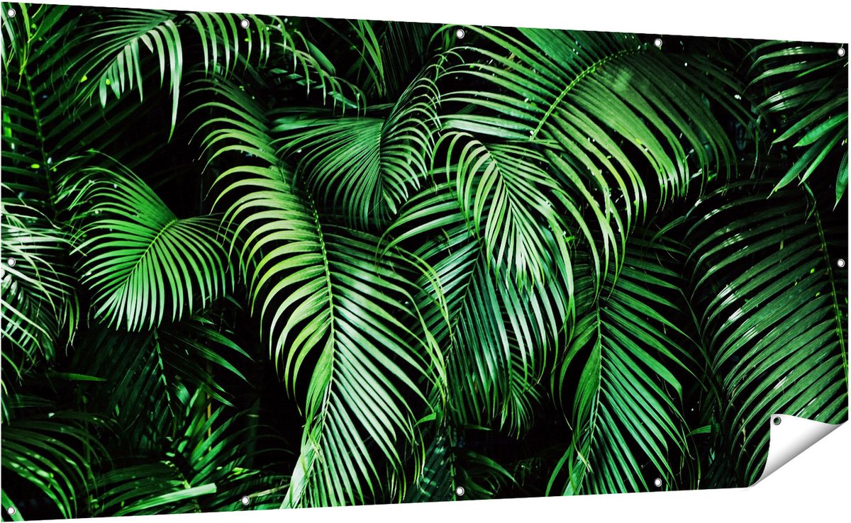 Gards Tuinposter Tropische Palm Bladeren - Groen - 200x100 cm - Tuindoek - Tuindecoratie - Wanddecoratie buiten - Tuinschilderij Multikleur