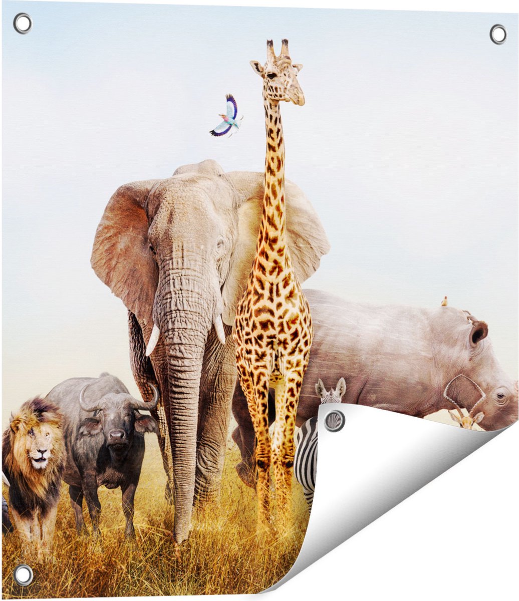 Gards Tuinposter Afrikaanse Dieren op het Gras - Afrika - 50x50 cm - Tuindoek - Tuindecoratie - Wanddecoratie buiten - Tuinschilderij Multikleur