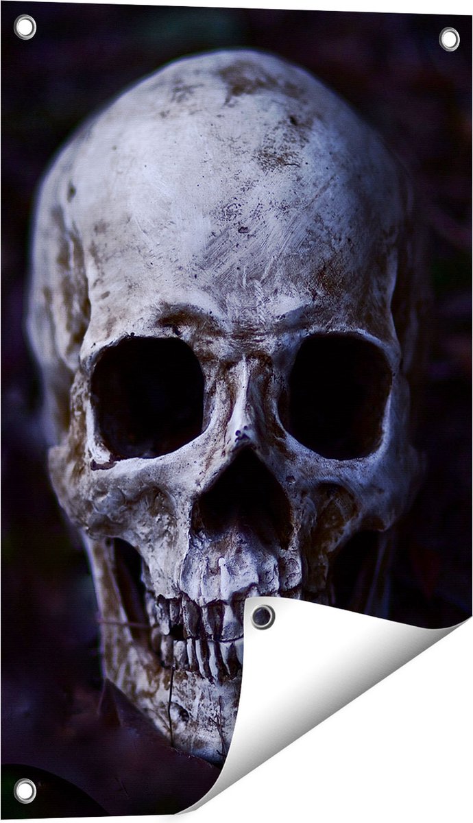 Gards Tuinposter Schedel - Doodshoofd - 40x60 cm - Tuindoek - Tuindecoratie - Wanddecoratie buiten - Tuinschilderij Multikleur