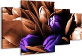 GroepArt - Schilderij -  Tulp - Paars, Bruin, Wit - 160x90cm 4Luik - Schilderij Op Canvas - Foto Op Canvas