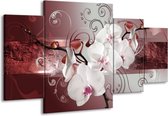 GroepArt - Schilderij -  Orchidee - Wit, Grijs - 160x90cm 4Luik - Schilderij Op Canvas - Foto Op Canvas