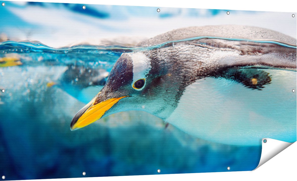 Gards Tuinposter Pingu�n Zwemt onder Water - 180x90 cm - Tuindoek - Tuindecoratie - Wanddecoratie buiten - Tuinschilderij Multikleur