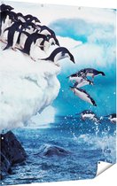 Gards Tuinposter Kudde Pingu�ns Springen vanaf een Rots - 120x160 cm - Tuindoek - Tuindecoratie - Wanddecoratie buiten - Tuinschilderij