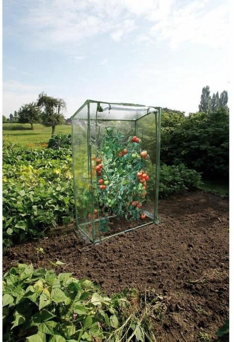 Talen Tools Nature Serre à tomates - H150x100x50cm