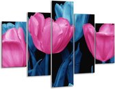 Glasschilderij -  Tulp - Roze, Blauw, Zwart - 100x70cm 5Luik - Geen Acrylglas Schilderij - GroepArt 6000+ Glasschilderijen Collectie - Wanddecoratie- Foto Op Glas