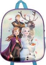 Disney Frozen Elsa Anna Olaf Hans en Sven Kleine Rugtas