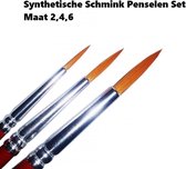 Superstar Synthetische Schmink Penselen Set maat 2,4,6 - Schmink verjaardag thema feest festival fun