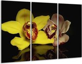 GroepArt - Schilderij -  Orchidee - Geel, Zwart - 120x80cm 3Luik - 6000+ Schilderijen 0p Canvas Art Collectie