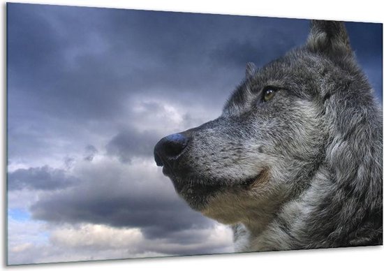 Doe herleven Efficiënt Umeki Canvas schilderij Wolf | Grijs, Blauw, Wit | 120x70cm 1Luik | bol.com