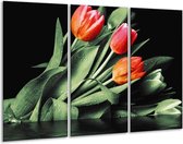 GroepArt - Schilderij -  Tulp - Rood, Oranje, Groen - 120x80cm 3Luik - 6000+ Schilderijen 0p Canvas Art Collectie