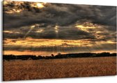 Schilderij Op Canvas - Groot -  Natuur - Bruin, Grijs, Geel - 140x90cm 1Luik - GroepArt 6000+ Schilderijen Woonkamer - Schilderijhaakjes Gratis