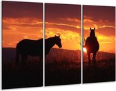 GroepArt - Schilderij -  Paarden - Zwart, Geel, Oranje - 120x80cm 3Luik - 6000+ Schilderijen 0p Canvas Art Collectie