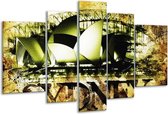Glasschilderij Sydney - Groen, Bruin, Zwart - 170x100cm 5Luik - Foto Op Glas - Geen Acrylglas Schilderij - 6000+ Glasschilderijen Collectie - Wanddecoratie