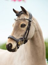 PS Of Sweden Browband Sleek Fudge - Black - Maat Pony