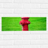 Muursticker - Rode Brandweerpaal in Groen Gras - 60x20 cm Foto op Muursticker