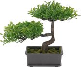 H&S Collection Plante artificielle Bonsaï en pot - décoration japonaise - 27 x 16 x 24 cm - feuilles vert clair