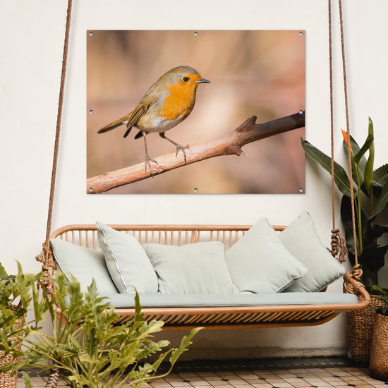 Tuinposter - Tuindoek - Tuinposters Buiten - Roodborstje In De Natuur 120x80 Cm Tuin