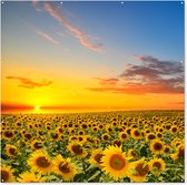 Tuinposter bloemen - Tuindecoratie zonnebloem geel - 200x200 cm - Tuinschilderij voor buiten - Tuindoek zonsondergang - Wanddecoratie - Schuttingdoek natuur - Balkon decoratie - Muurdecoratie bloemenveld - Buitenschilderijen voor in de tuin