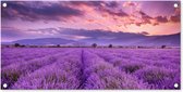 Tuinposter Lavendel - Paars - Bloemen - Veld - 80x40 cm - Wanddecoratie Buiten - Tuinposter - Tuindoek - Schuttingposter - Tuinschilderij