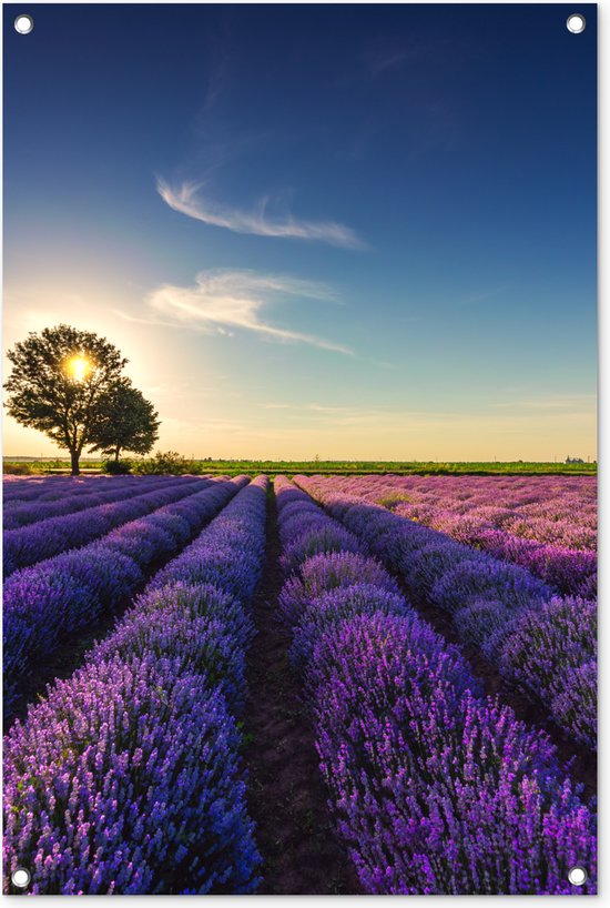 Tuinposter lavendel - Tuindecoratie bloemen - 60x90 cm - Wanddecoratie voor buiten - Schutting decoratie paars - Buitenposter - Paarse schuttingdoek - Tuindoeken - Tuin doek - Balkon poster