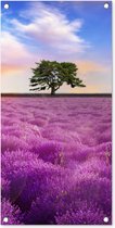 Tuinposter Lavendel - Boom - Zonsondergang - Paars - 40x80 cm - Wanddecoratie Buiten - Tuinposter - Tuindoek - Schuttingposter - Tuinschilderij