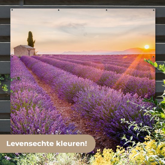 Affiche de jardin lavande - Coucher de soleil - Fleurs - Violet - Toile de jardin - Toile de clôture - Peinture jardin extérieur - Décoration clôture - 200x200 cm - Décoration de jardin - Jardin - Poster extérieur