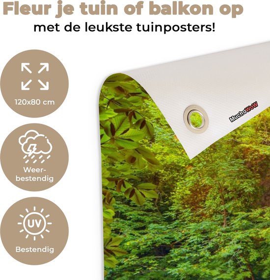 Tuinposter waterval - Planten - Stenen - Natuur - Zonlicht - Tuinschilderij voor buiten - Schutting decoratie - Tuin - 120x80 cm - Tuindecoratie - Schuttingdoek - Tuindoek