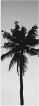 Poster (Mat) - Palmboom in het Zwart Wit - 20x60 cm Foto op Posterpapier met een Matte look