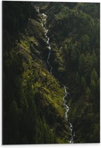 WallClassics - Dibond - Klein Stromend Water tussen Dichtbegroeide Groene Bomen - 40x60 cm Foto op Aluminium (Met Ophangsysteem)