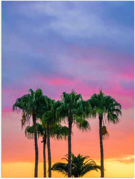 WallClassics - Poster Glanzend – Palmbomen met Kleurrijke Lucht - 30x40 cm Foto op Posterpapier met Glanzende Afwerking
