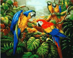Sellaio® - Schilderen op Nummer Volwassenen - Schilderen op nummer vogels en papegaai - 40x50 cm - Jungle en Ara - Paint by Number - Hobby Pakket - Met 3 kwasten - Zonder lijst - Met ophanghaakjes