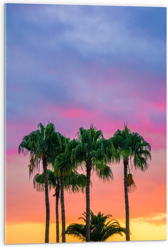 WallClassics - Acrylglas - Palmbomen met Kleurrijke Lucht - 50x75 cm Foto op Acrylglas (Wanddecoratie op Acrylaat)