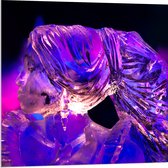 Acrylglas - IJssculptuur tegen Paars- Blauw Licht - 80x80 cm Foto op Acrylglas (Met Ophangsysteem)