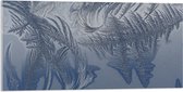 Acrylglas - Bevroren Vogel Veren - 100x50 cm Foto op Acrylglas (Wanddecoratie op Acrylaat)