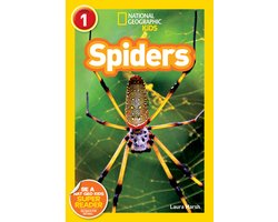 Ngr Spiders
