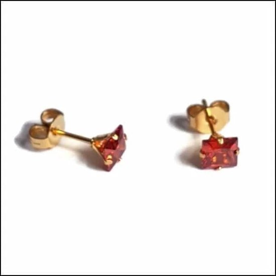 Aramat jewels ® - Zirkonia zweerknopjes vierkant 5mm oorbellen ab transparant chirurgisch staal