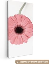 Canvas Schilderij Bloem - Roze - Natuur - Plant - 40x80 cm - Wanddecoratie