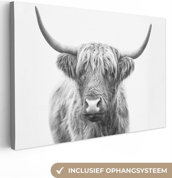 Canvas Schilderij Schotse hooglander - Dieren - Hoorns - Zwart wit - 120x80 cm - Wanddecoratie