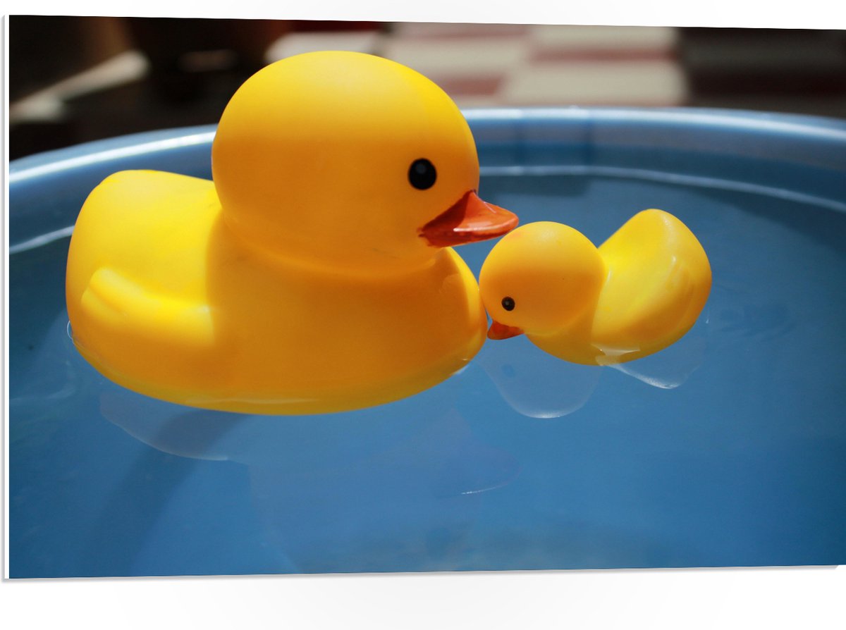 PVC Schuimplaat- Moeder en Baby Badeenden in het Water - 75x50 cm Foto op PVC Schuimplaat
