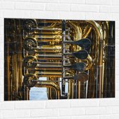 Muursticker - Knoppen van Gouden Trompet - 100x75 cm Foto op Muursticker