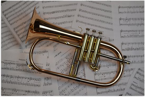 Poster Glanzend – Gouden Trompet op Muzieknoten Bladeren - 60x40 cm Foto op Posterpapier met Glanzende Afwerking