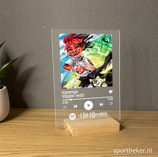 Plaque de verre plexi Spotify, 20 x 30 cm.