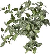 Fittoniabush - Mozaiekplant - Kunstplant - Losse tak - 120 bladeren - 33 cm
