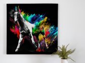 Stop horsing around | Stop horsing around | Kunst - 40x40 centimeter op Canvas | Foto op Canvas