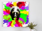 Rainbow skunk explosion | Rainbow Skunk Explosion | Kunst - 40x40 centimeter op Canvas | Foto op Canvas