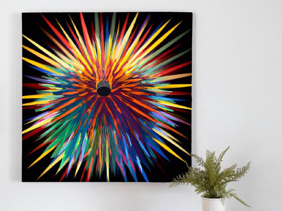 Rainbow Echidna Burst kunst - 100x100 centimeter op Canvas | Foto op Canvas - wanddecoratie