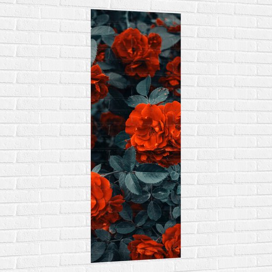 WallClassics - Muursticker - Rode Volle Bloemen in Donkergroene Struik - 50x150 cm Foto op Muursticker